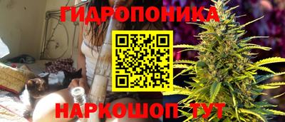 прущая мука Лесосибирск