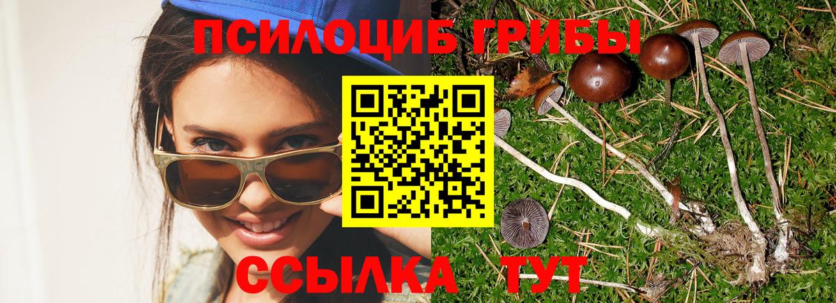 цена наркотик  Вход с VPN  Псилоцибиновые грибы MAGIC MUSHROOMS  Вятские Поляны  Галлюциногенные грибы мухоморы 